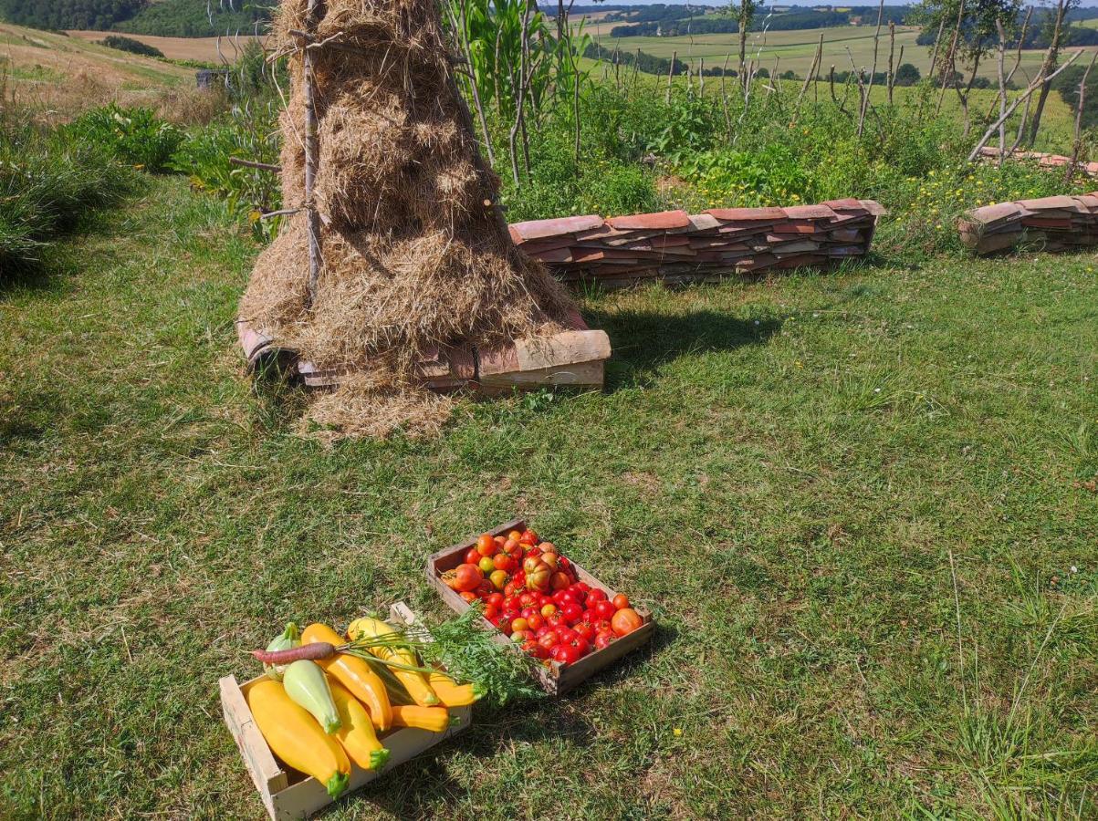 Ferme Ahoco Chambre D'Hotes Residence D'Artistes Lavit Zewnętrze zdjęcie